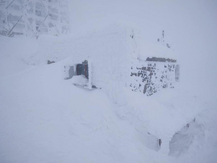 Карпати замело снігом