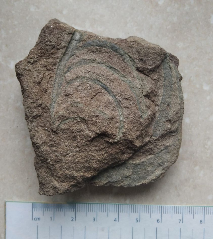 На горе Поп Иван нашли камень, которому должно быть не менее 66 млн лет