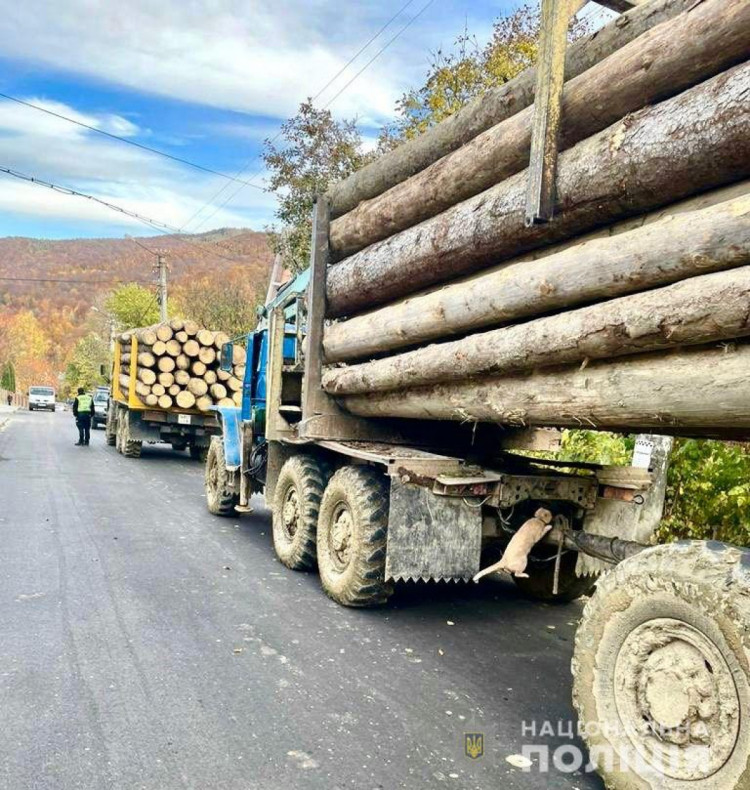 Вантажівки з краденою лісопродукцією затримали на Прикарпатті